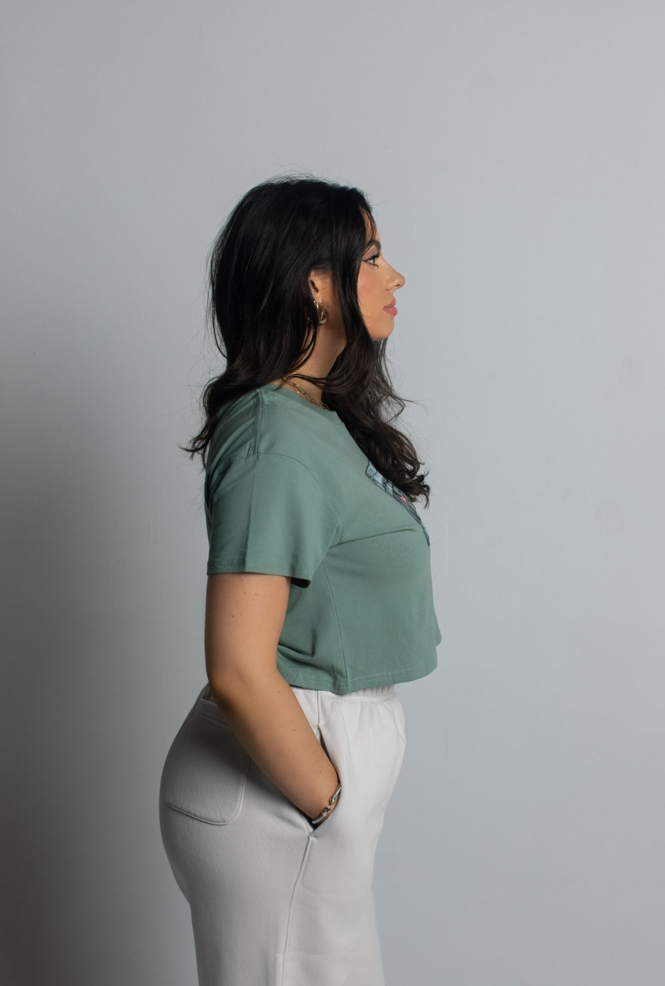 Vintage Cassette Crop Tee in Sage