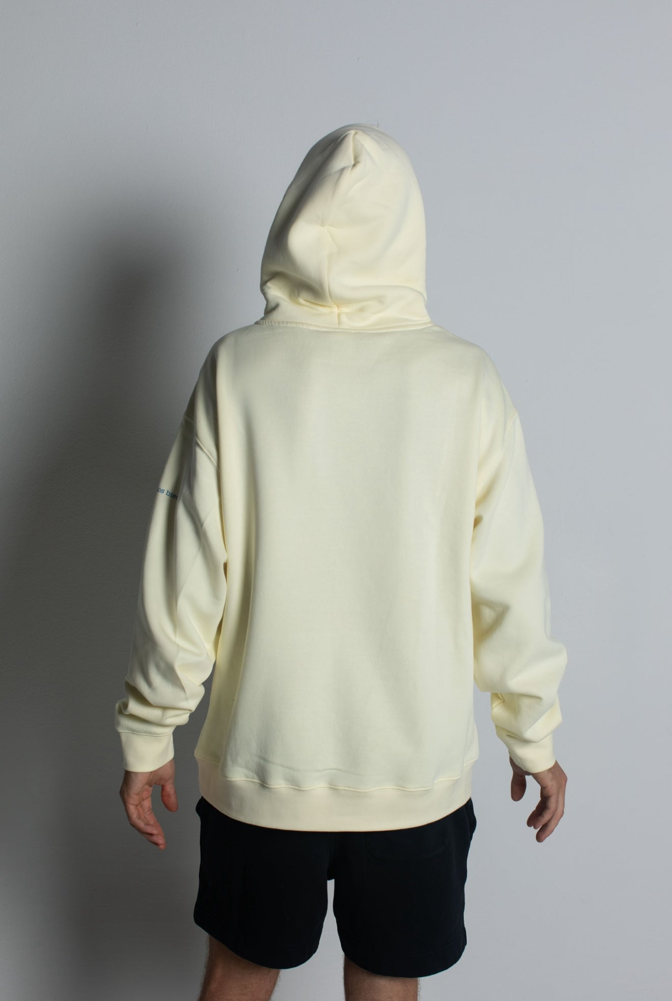 Pandemic Stallion Hood