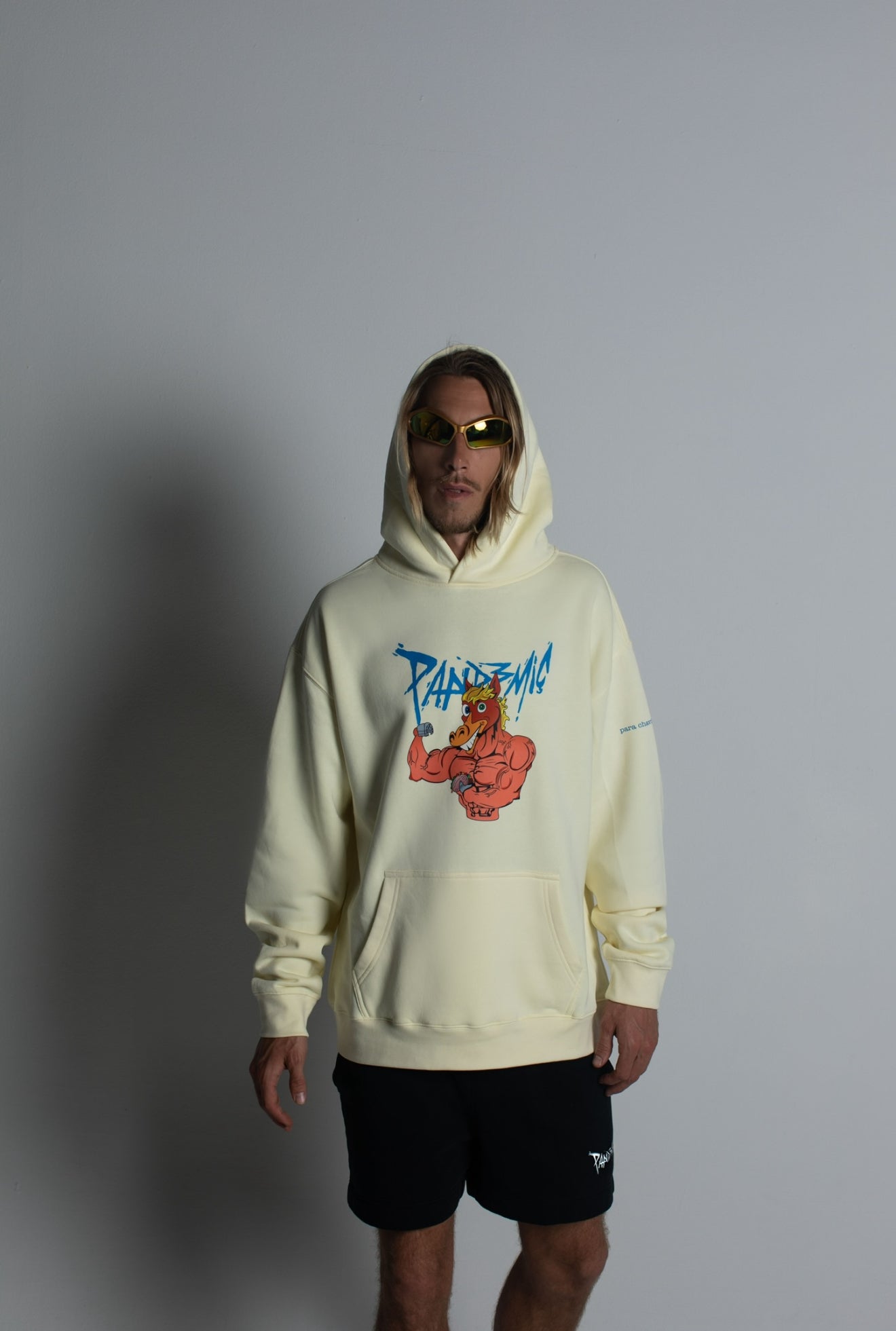 Pandemic Stallion Hood