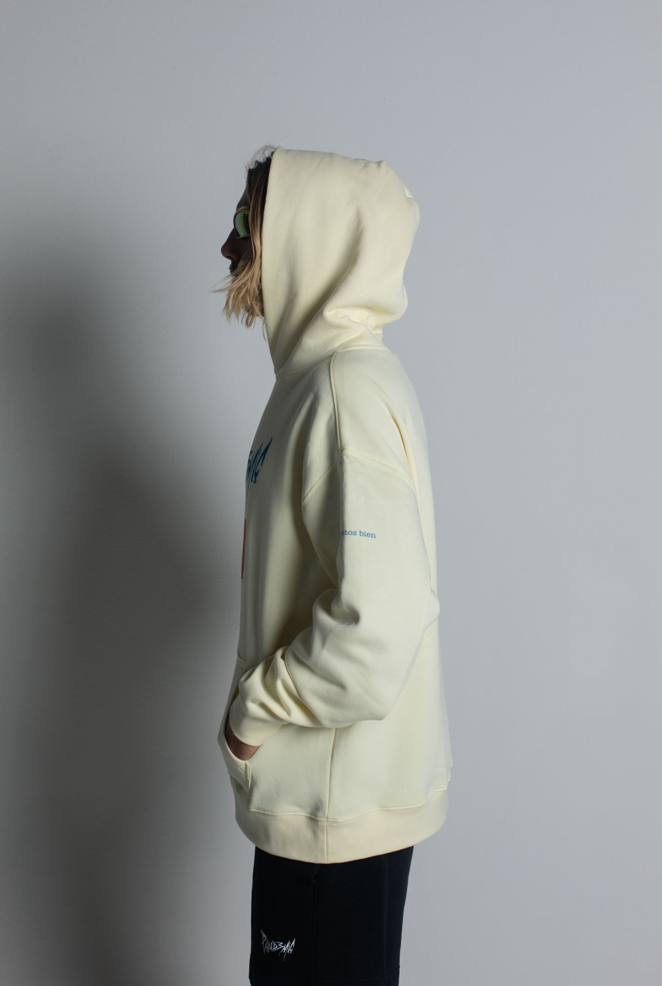 Pandemic Stallion Hood